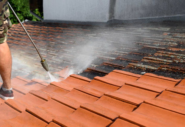 Best Commercial Building Pressure Washing  in Malden, MO