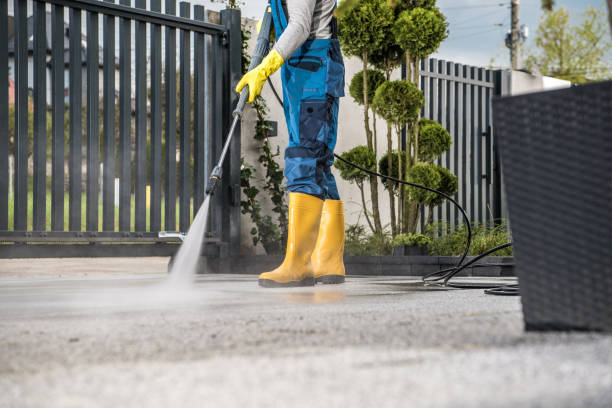 Best Roof Power Washing Services  in Malden, MO