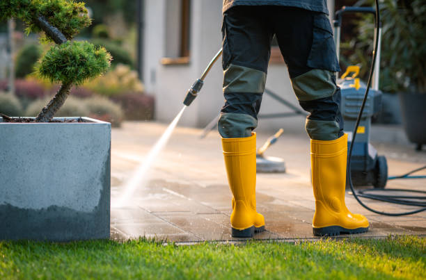 Best Local Pressure Washing Services  in Malden, MO